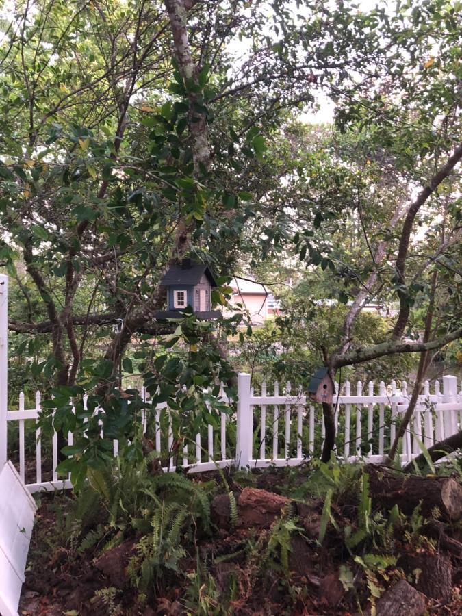 Cozy Cottage River House Weeki Wachee Exterior foto