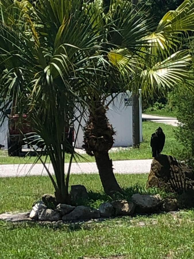 Cozy Cottage River House Weeki Wachee Exterior foto